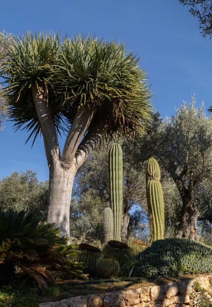 03 mallorca arquitectura interiorismo. diseno decoracion