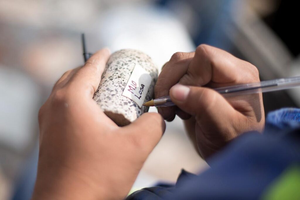 12 polyforum siqueiros restauracion arte muralismo arquitectura